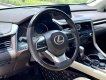 Lexus RX 300 2018 - Sang trọng hiện đại
