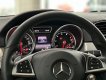 Mercedes-Benz GLE 43 2017 - Màu đỏ, nội thất nâu