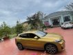 BMW X2 2019 - Xe màu nâu