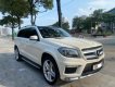 Mercedes-Benz GL 500 2013 - Xe cực chất