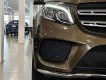 Mercedes-Benz GLS 400 2017 - Màu nâu, nhập khẩu