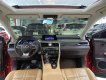 Lexus RX 300 2019 - Xe màu đỏ