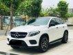 Mercedes-Benz GLE 43 2019 - Xe màu trắng nội thất kem