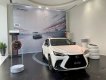 Lexus NX 350 2022 - Bảo dưỡng/bảo hành miễn phí trong 3 năm - Chính hãng showroom, xe giao ngay