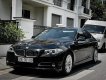 BMW 520i 2016 - Giá 1 tỷ 130 triệu