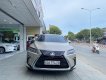 Lexus RX 350 2018 - Động cơ V6 3.5L nhập khẩu Nhật Bản