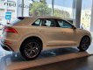 Audi Q8 2022 - Sẵn xe nhiều màu tại showroom