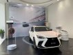 Lexus NX 350 2022 - Bảo dưỡng/bảo hành miễn phí trong 3 năm - Chính hãng showroom, xe giao ngay