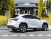 Lexus NX 300 2021 - Chạy cực ít biển tỉnh