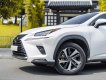 Lexus NX 300 2021 - Chạy cực ít biển tỉnh