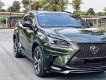 Lexus NX 200T 2014 - Lăn bánh T12-2015