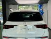 Mercedes-Maybach GLS 480 2022 - Màu trắng/Nội thất đen