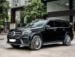 Mercedes-Benz GLS 500 2016 - Xe rất hiếm và hót