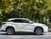 Lexus RX 350 2021 - Biển tỉnh