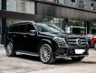 Mercedes-Benz GLS 500 2016 - Xe rất hiếm và hót