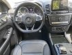 Mercedes-Benz GLE 43 2016 - Đăng ký lần đầu 2017