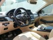 Mercedes-Benz GLE 43 2017 - Màu đen số tự động