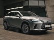 Lexus RX 500h 2023 - Phiên bản nâng cấp hoàn toàn mới 2023 - Đặt xe sớm nhận ưu đãi tốt