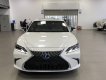 Lexus ES 300 2022 - Sẵn xe giao ngay, bảo hành, bảo dưỡng xe miễn phí trong 3 năm