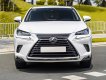 Lexus NX 300 2021 - Chạy cực ít biển tỉnh