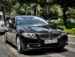 BMW 520i 2016 - Giá 1 tỷ 130 triệu