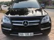 Mercedes-Benz GL 450 2010 - Màu đen, xe nhập, giá cực tốt