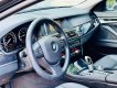 BMW 520i 2016 - Xe đẹp xuất sắc