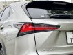 Lexus NX 300 2020 - Biển HN, tên cá nhân