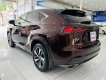 Lexus NX 300 2019 - Miễn phí 100% thuế trước bạ - Tặng ngay 1 miếng vàng thần tài khi mua xe trong tháng