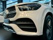 Mercedes-Benz GLE 450 2022 - Giảm tiền mặt lên đến 100tr - Quà tặng và ưu đãi khủng