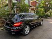 Mercedes-Benz R 300 2010 - Xe đẹp như hình, nhận xe về đi luôn