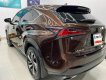 Lexus NX 300 2019 - Sang trọng - Đẳng cấp