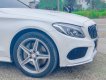 Mercedes-Benz C 250 2015 - Màu trắng, nội thất đỏ mận