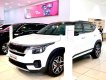 Kia Seltos 2022 - Mẫu xe bán chạy nhất phân khúc kèm ưu đãi BHTX 1 năm