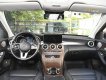 Mercedes-Benz C 250 2020 - Đen óng ả
