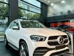Mercedes-Benz GLE 450 2022 - Giảm tiền mặt lên đến 100tr - Quà tặng và ưu đãi khủng