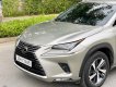 Lexus NX 300 2020 - Biển HN, tên cá nhân