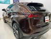 Lexus NX 300 2019 - Lexus 2019 số tự động tại 66