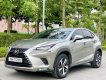 Lexus NX 300 2020 - Biển HN, tên cá nhân