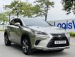 Lexus NX 300 2020 - Biển HN, tên cá nhân