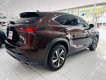 Lexus NX 300 2019 - Miễn phí 100% thuế trước bạ - Tặng ngay 1 miếng vàng thần tài khi mua xe trong tháng