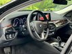 BMW 530i 2019 - Bản nhập khẩu full option
