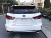 Lexus RX 350 2020 - Xe nhập khẩu chính hãng