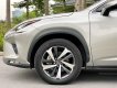 Lexus NX 300 2020 - Biển HN, tên cá nhân