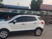 Ford EcoSport 2014 - Ford EcoSport 2014 số tự động