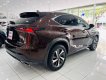 Lexus NX 300 2019 - Tặng ngay 1 miếng vàng thần tài - Miễn phí 100% thuế trước bạ khi mua xe trong tháng