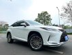 Lexus RX350 rx350 2020 - Bán Lexus Rx350 2020 Xe Đẹp Nhất Việt Nam