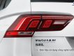 Volkswagen Tiguan 2022 - Mẫu xe đáng mua nhất thời điểm hiện tại