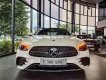 Mercedes-Benz E300 2022 - Giảm 100% thuế trước bạ