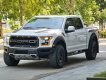 Ford F 150 2019 - Chất lượng cực đẹp